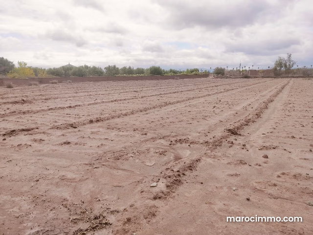 Vente de terrain à Sidi Abdallah Ghiat. Superficie 14000 m². — 4