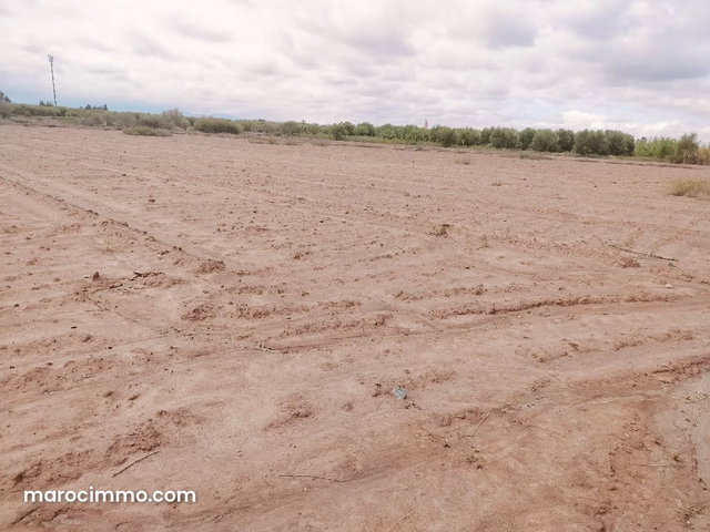Vente de terrain à Sidi Abdallah Ghiat. Superficie 14000 m². — 2