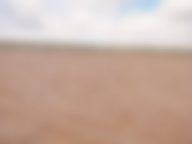 أرض 14000 م² للبيع بسيدي عبد الله غياث — 3