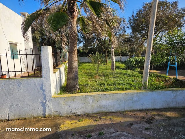 Loue maison indépendante plein pieds terrasse — 3