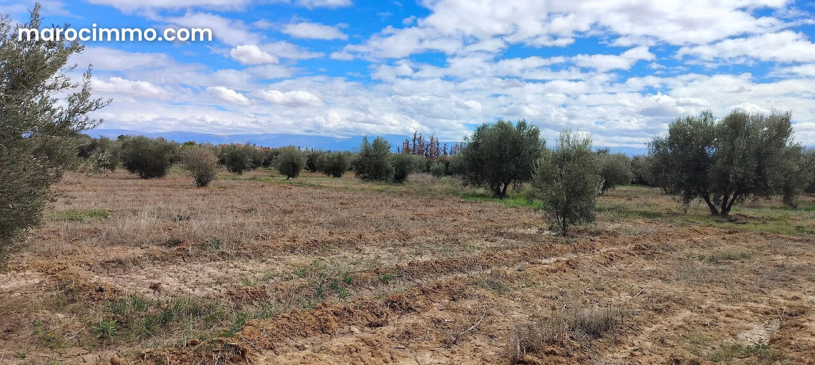 Terrain de 24 172 m² à vendre à Sidi Abdallah Ghiat — Sidi Abdallah Ghiat