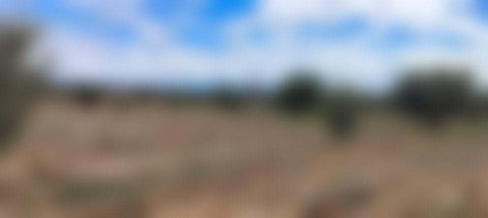 أرض شاسعة للبيع بسيدي عبد الله غيات قرب مراكش