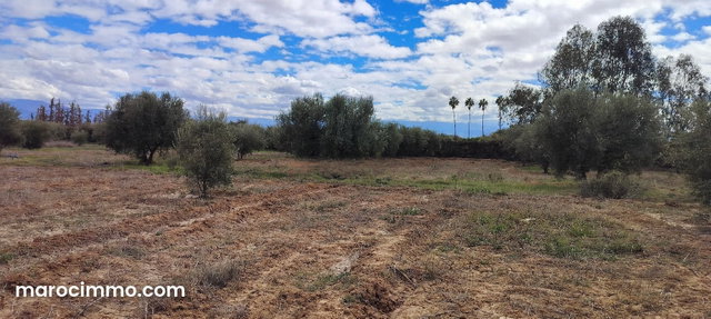 Terrain à acheter à Sidi Abdallah Ghiat. Superficie 24172 m² — 3