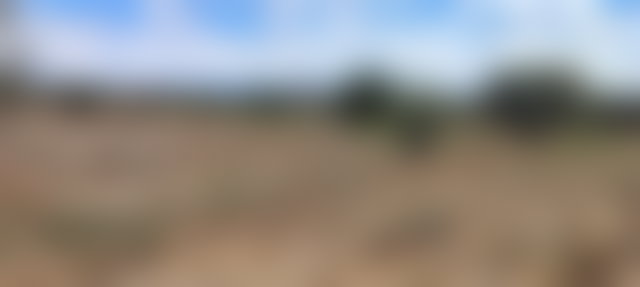 أرض شاسعة للبيع بسيدي عبد الله غيات قرب مراكش — 2