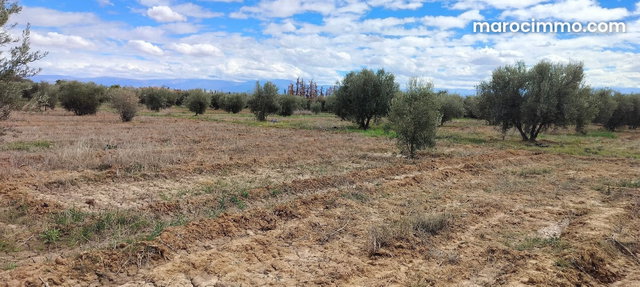 Terrain à acheter à Sidi Abdallah Ghiat. Superficie 24172 m² — 2