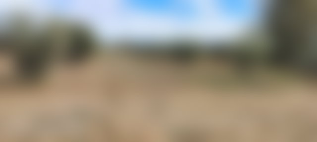 أرض شاسعة للبيع بسيدي عبد الله غيات قرب مراكش — 4