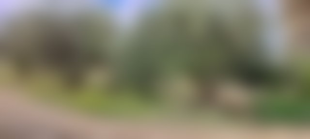 أرض شاسعة للبيع بسيدي عبد الله غيات قرب مراكش — 5