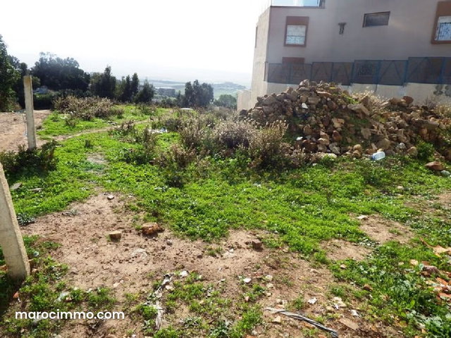 Terrain Titré pour villa à vendre — 4