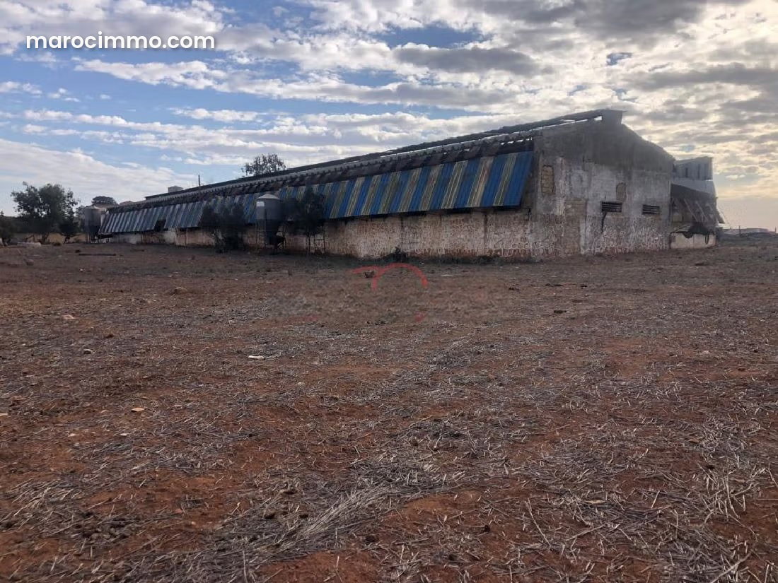Terrain agricole 2 ha avec hangar et puits à Benslimane — Benslimane