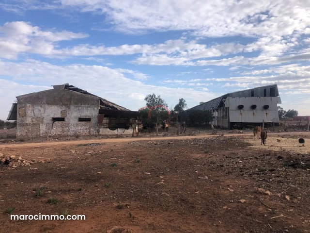 Vente Terrain agricole à Benslimane — 3