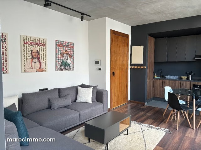 Rent a beautiful furnished apartment on Gauthier with a terrace — 3