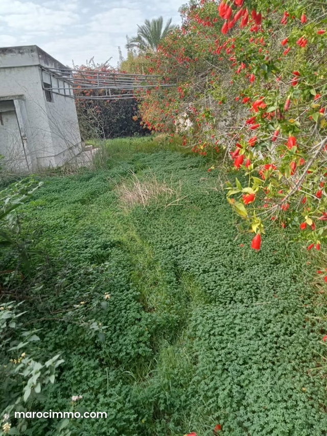 Villa 940m Souissi OLM — 4