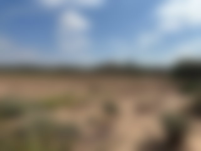 Terrain 4 hectares à vendre, Route de Fès, Marrakech — 5