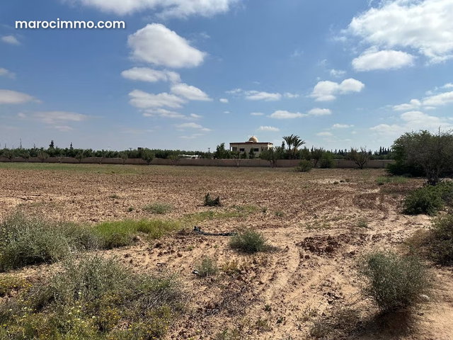 Terrain en vente à Route de Fez. Surface de 40000 m². — 5