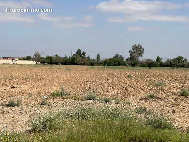 Terrain en vente à Route de Fez. Surface de 40000 m². — 2