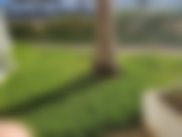 Furnished Apartment with Garden and Sea View in Dar Bouazza — 4