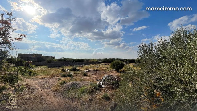 Terrain 1ha avec permis et 2 villas en gros oeuvre — 3