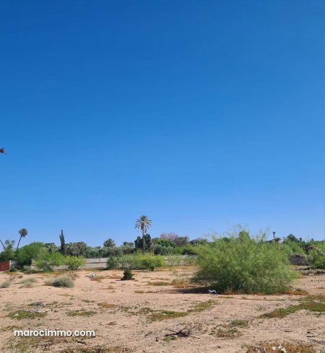 Palmeraie à 5 mn du centre magnifique terrain pour une villa — Marrakech
