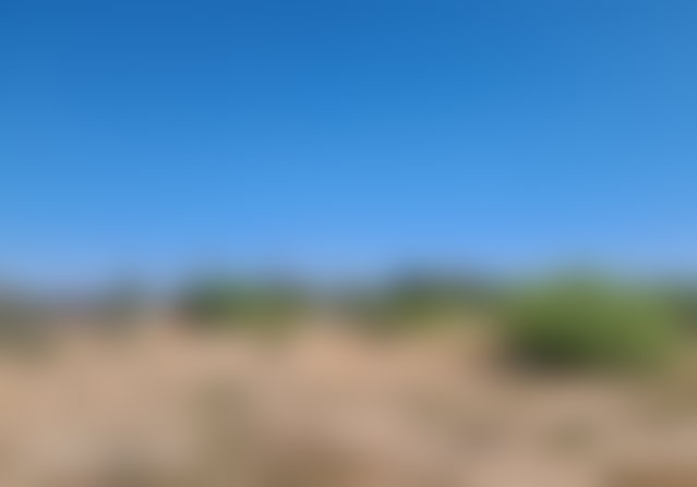 19,501 m² Plot in the Palmeraie, Marrakech, S5D Development Zone — 2