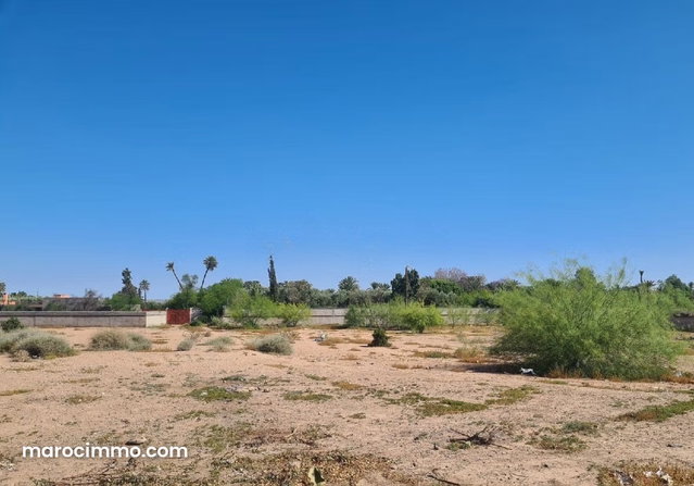 Palmeraie à 5 mn du centre magnifique terrain pour une villa — 2
