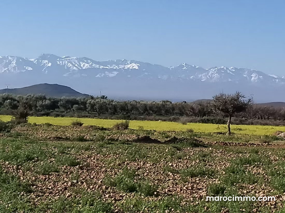 200 sqm plot for sale on Casablanca Road, Marrakech — Marrakesh