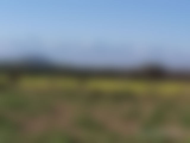 200 sqm plot for sale on Casablanca Road, Marrakech — Marrakesh