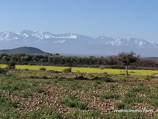 Vente terrain à Route Casablanca. Surface de 200 m² — Marrakech