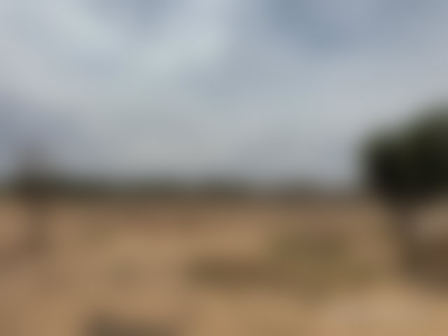 أرض استثمارية واسعة على طريق ورزازات بمراكش — 3