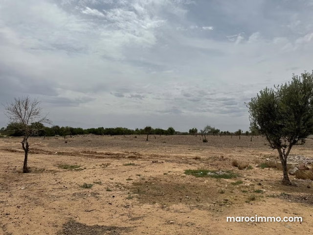 Terrain à vendre à Route de Ouarzazate. Surface de 43500 m² — 3