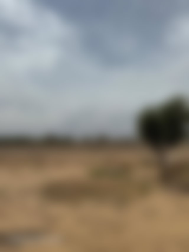 أرض استثمارية واسعة على طريق ورزازات بمراكش — 4
