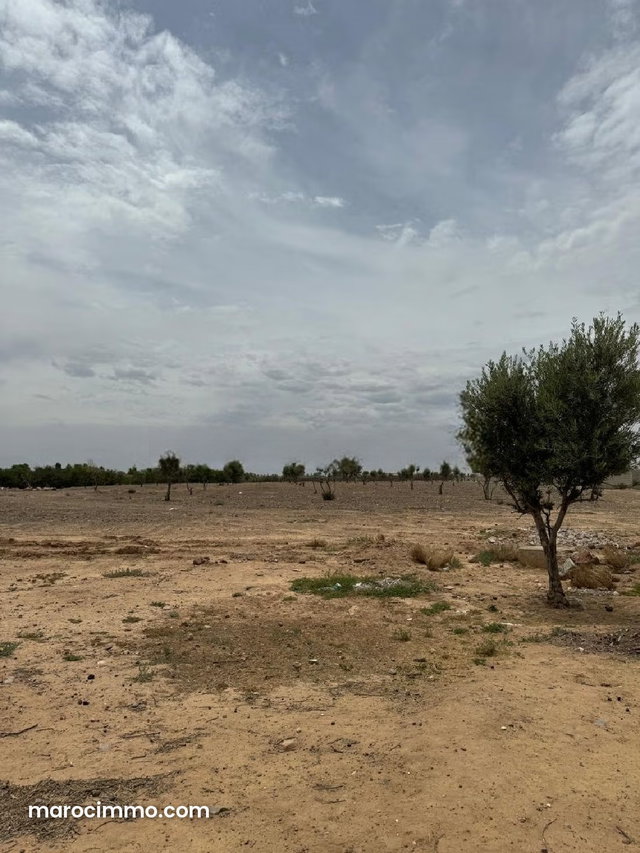 Terrain à vendre à Route de Ouarzazate. Surface de 43500 m² — 4