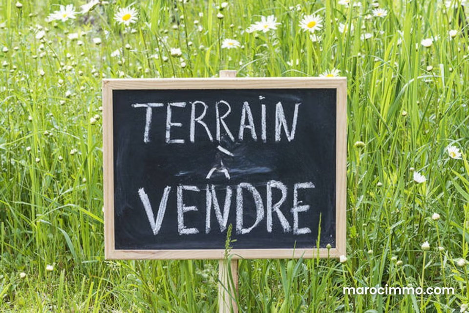 Terrain zone immeuble Laymoune