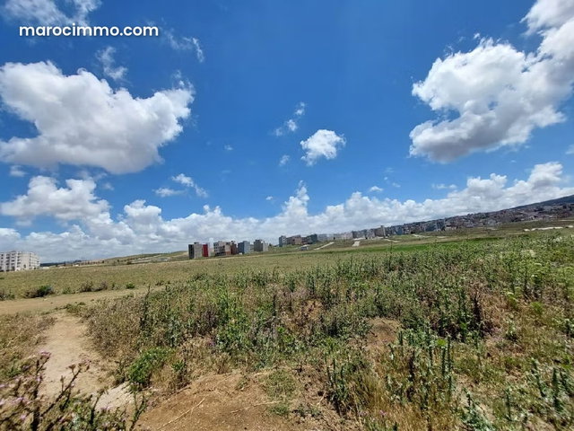 Terrain 2 ha Zone Immeuble Marjane route de rabat — 3