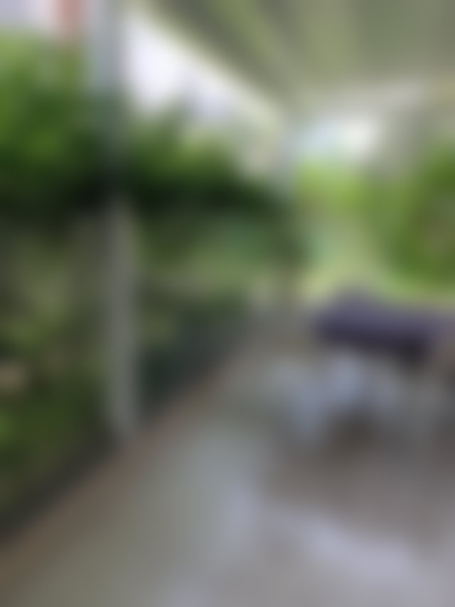 Villa 4 chambres avec jardin et garage à Sidi Rahal — 4