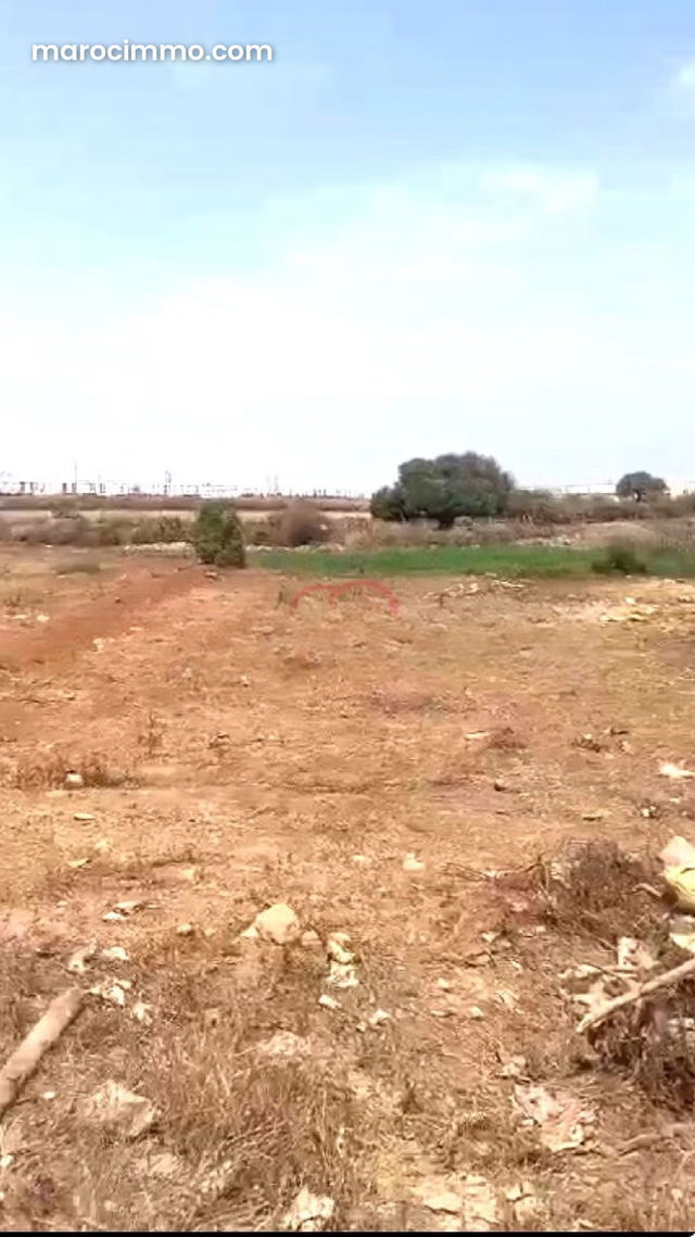 Vente Terrain nu à Errahma — الدار البيضاء