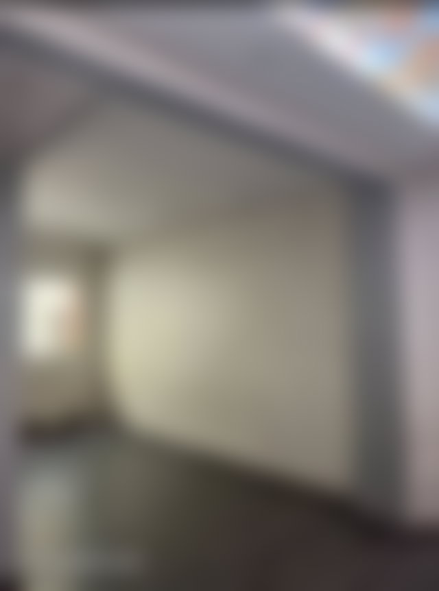 363 m² Apartment with Garden and Garage in Roches Noires, Casablanca — 4