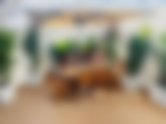 147 sqm Furnished Apartment with Terrace and Pool, Palmier, Casablanca — 2
