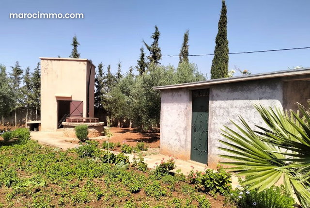 Villa à Vendre de 8516.0 m² à Tahannaout, Douar El Bared — 4