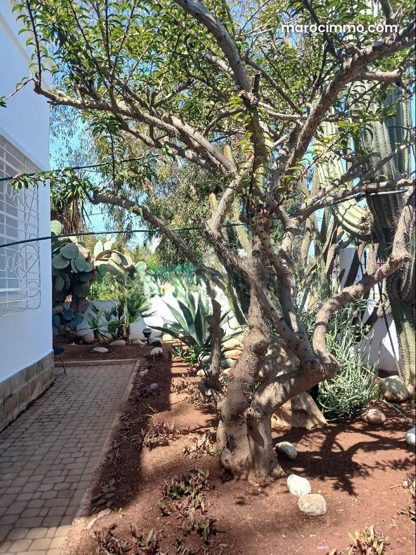 450 sqm office in a renovated villa, Polo, Casablanca — Casablanca