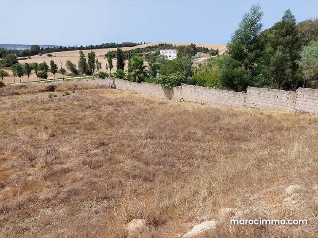 Vacation Land for Sale — 5