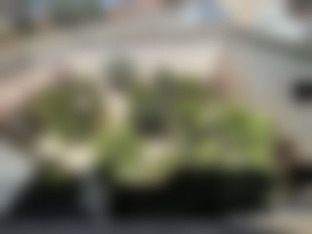 624 m² House with Patio in Zaouia Sidi Ghalem, Marrakech — Marrakesh