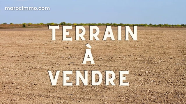 Terrain d’1 Hectare à Marrakech Bab Atlas – Idéal pour 4 Villas — 2