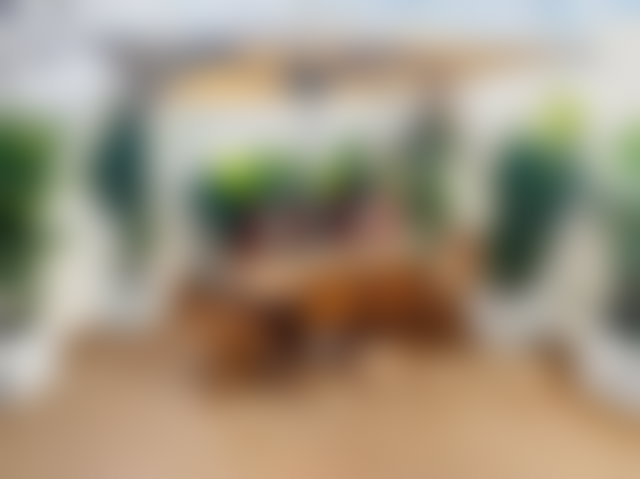 Appartement meublé 167 m², terrasse et piscine, Palmier Casablanca — 2