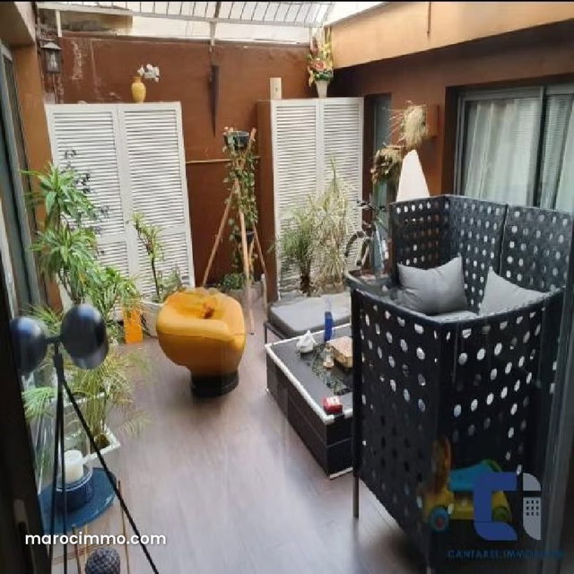 Bel appt meuble racine — 3