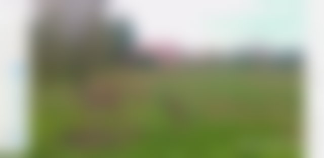 مزرعة مميزة للبيع ببرشيد — 2