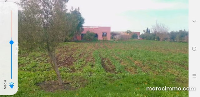 Une ferme de 5000 m2 à la vente sur Berrechid — 2
