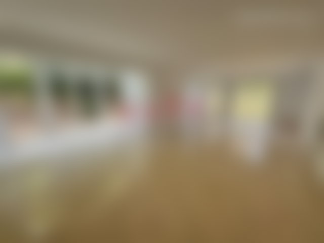 Villa Art Déco 800 m², piscine et jardin arboré, Anfa Casablanca — 2