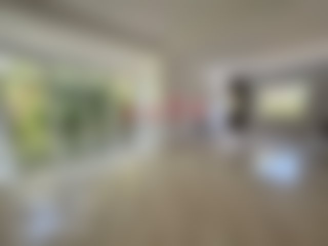 Villa Art Déco 800 m², piscine et jardin arboré, Anfa Casablanca — 3