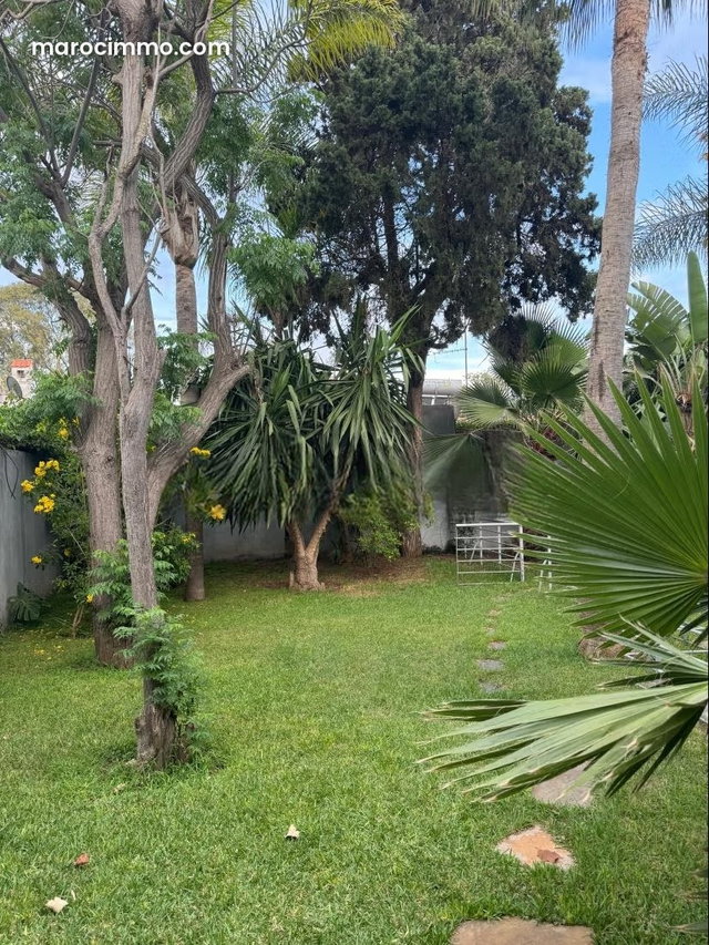 Belle villa à louer à usage bureau à l’Oasis — 5