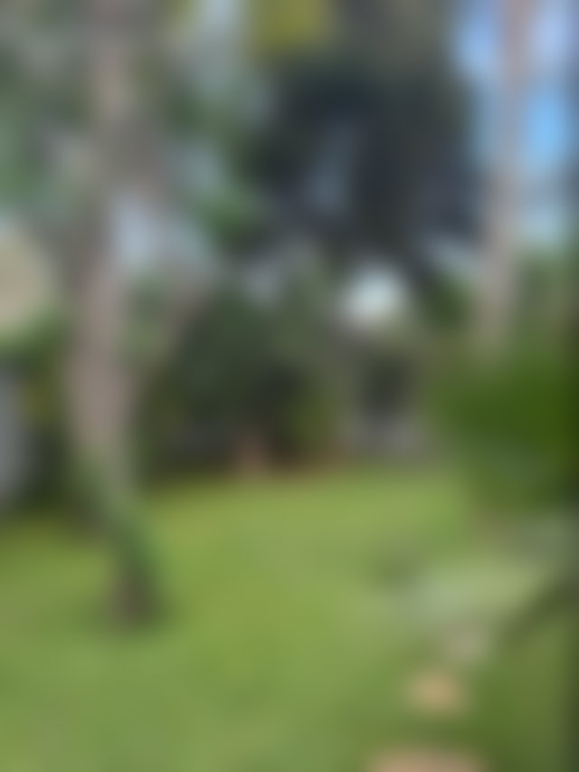 Bureau 700 m² avec jardin et terrasse, Oasis, Casablanca — 2